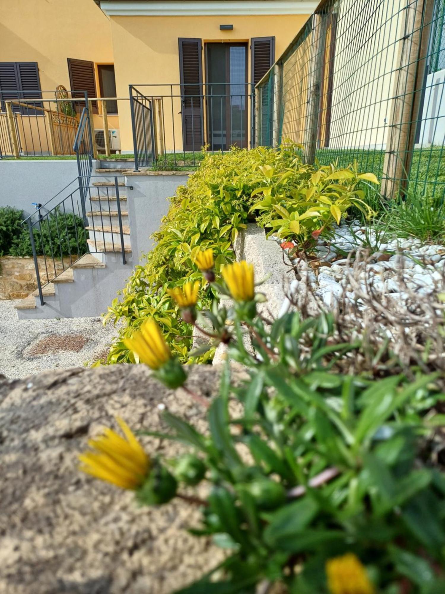 Mi & Mi Apartamento Ancona